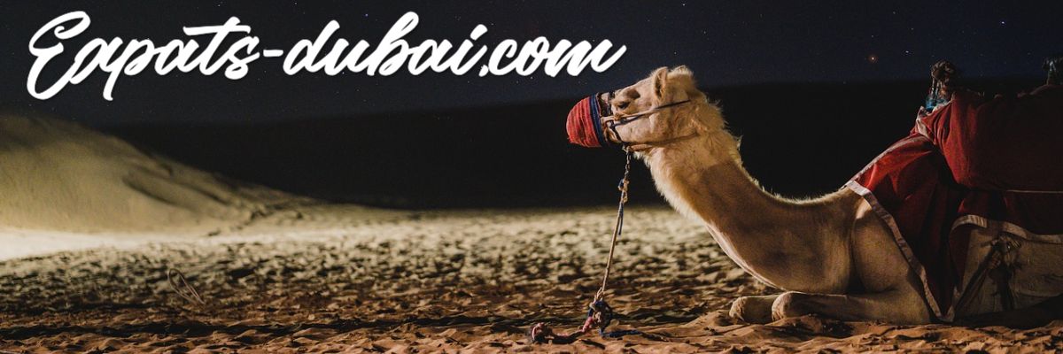 expats-dubai.ilab.pro